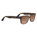 Serengeti Foyt Large Sunglasses  Shiny Tortoise Havana Large