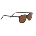 Serengeti Lenwood Sunglasses  Dark Havana Shiny Medium, Extra Large